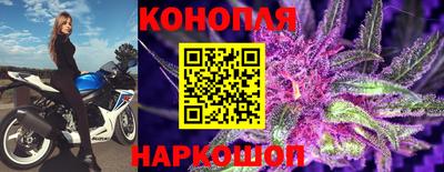 PSILOCYBIN Будённовск