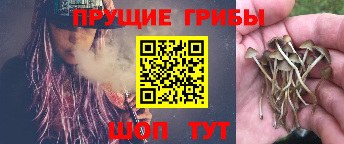 Галлюциногенные грибы MAGIC MUSHROOMS  Вход с VPN  Псилоцибиновые грибы мухоморы  Киреевск 